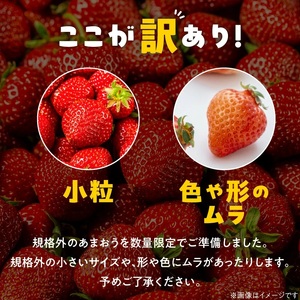【数量限定】【2027年2月から順次発送】ファミリー向け あまおう約270g×2パック【訳あり】_あまおう いちご 果物 フルーツ ストロベリー〔Fi068〕