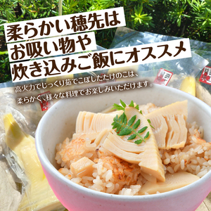 薪で炊いた柔らか仕立てのたけのこ水煮 （穂先5袋セット）