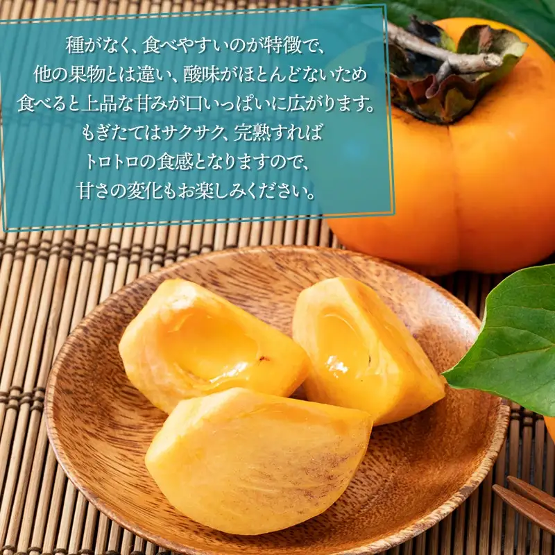 【令和8年産先行予約】JA庄内たがわの庄内柿 約7kg　秀品　M～Lサイズ （36～40玉）　K-835