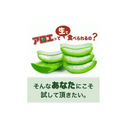 アロエベラ 食用 大きな生葉（2枚～3枚） 沖縄・宮古島産｜有機JAS
