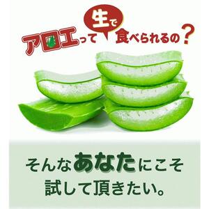 AC113　アロエベラ 食用 大きな生葉（4枚～5枚） 沖縄・宮古島産｜有機JAS