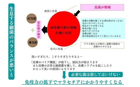 ペット 犬用 マラセチア真菌を週1回のハーブ温浴で枯らす 入浴剤 【あらいはま犬用】 漢方薬局推奨品