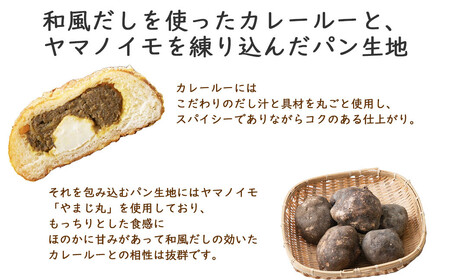カレーパン グランプリ金賞受賞 カリットカリー 9個（3種×3個） 詰合せ 冷凍 惣菜パン