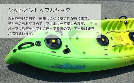 ファミリー向け　新居大島シットオントップカヤック体験　1/2DAY（大人2名・子供2名）