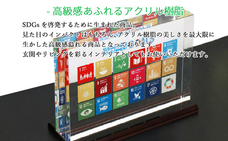 SDGs インテリア アクリル ブロック 盾 （厚さ40×幅210×高さ142mm） 高級 専用台