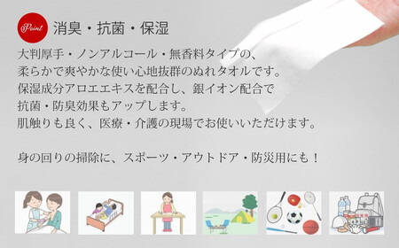 抗菌 消臭 保湿 ウェットタオル 大判（20cm×30cm）厚手 さわやかたおるちゃん（32枚入×15個） 合計480枚【SPC】