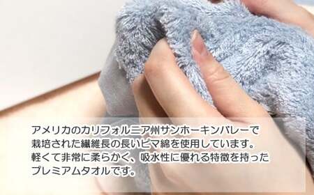 今治タオルブランド バスタオル2枚セット　シンプルサンホーキン Cセット（ブルー・ピンク） 【Hello!NEW】