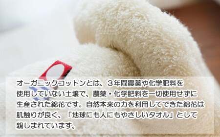 今治タオルブランド タオルセット　TRUE ORGANIC オーガニックタオル 【Hello!NEW】