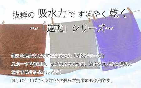 今治タオルブランド 乾きやすい 「速乾」シリーズ　バスタオル3枚セット（グレー）  【Hello!NEW 】
