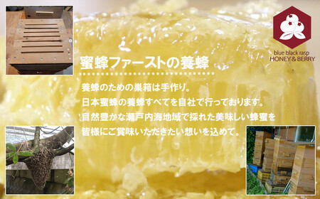日本蜜蜂 100% 純粋 はちみつ 非加熱 240g×2 希少 国産 蜂蜜 ハチミツ
