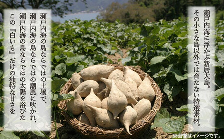【先行予約】【数量限定】 新居浜大島産 幻のさつまいも 『白いも』 5kg 七福芋 白芋 希少