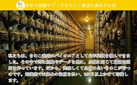 ☆採れたて新鮮定期便（１kg×５ヵ月）☆ 厳選！！新居浜産菌床生しいたけ １kgを毎月お届け！！（合計５回）