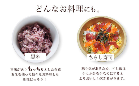 【令和7年度産】元気つくし 6kg 1袋3kg入り わだち農場《30日以内に出荷予定(土日祝除く)》福岡県 鞍手郡 鞍手町 米 コメ 元気つくし 袋 ちらし寿司 こめ