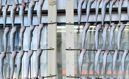 先行予約 2027年2月発送  北海道 厚岸産 丸干しコマイ 190g×4パック ソウルフード 魚貝類 干物 焼魚 おつまみ 冷凍 厚岸湖 天日干し 焼くだけ おかず 