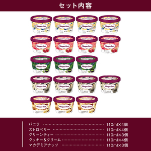 【着日指定できます!!】ハーゲンダッツ『定番ミニカップ5種セット(合計18個)』アイスクリーム アイス スイーツ デザート_H0016-127