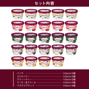 ハーゲンダッツ 『定番ミニカップ5種(計24個)』 アイス アイスクリーム_H0016-133