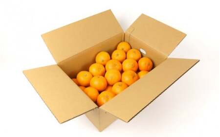 【先行予約】希少種みかん はれひめ 約5kg(25個～30個) 秀品 2026年12月中旬～2027年2月初旬頃に順次発送予定（お届け日指定不可）/ 和歌山 みかん はれひめ フルーツ 柑橘 蜜柑 果物 くだもの【kgr004A】