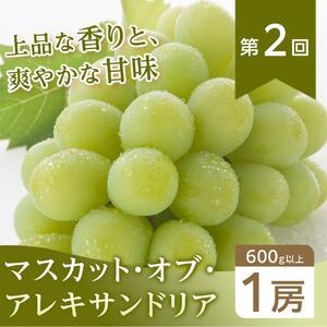 フルーツ 2026年【全6回コース】晴れの国岡山 フルーツ定期便