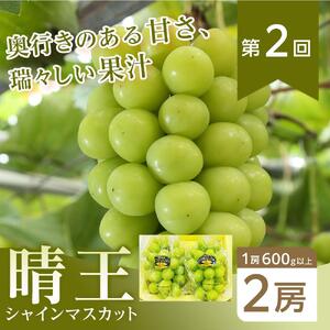フルーツ 2026年【全4回コース】晴れの国岡山 フルーツ定期便