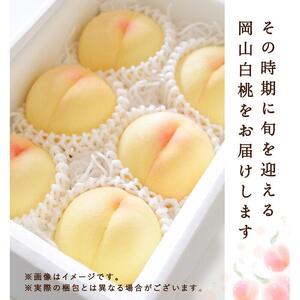 2026年  岡山県産　白桃6玉(1.5kg以上) 等級：ロイヤル 化粧箱入り