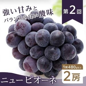 【全3回コース】2026年  岡山県産　旬のフルーツ定期便
