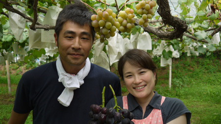 【先行予約】 巨峰 2～3房 計約1kg 河野ぶどう園【2026年8月中旬～9月中旬頃順次発送予定】宇城市産巨峰 熊本県産巨峰 国産巨峰 巨峰ぶどう