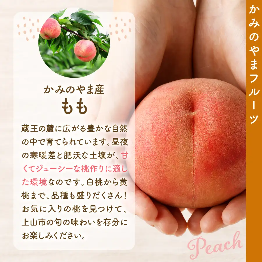 白桃（品種おまかせ）５ｋｇ　0020-2613