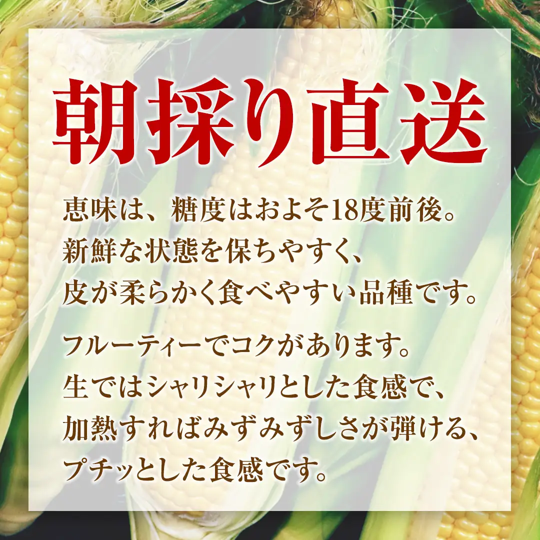 【ふるなびWEEK対象】【8月上旬発送開始】 甘～いトウモロコシ 恵味 5kg 約10～12本 [AL005tu]