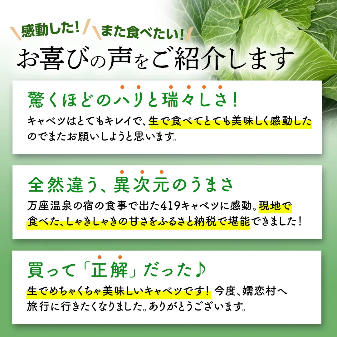 【ふるなびWEEK対象】【7月中旬発送開始】訳あり まぼろしの419キャベツ 4玉 きゃべつ 嬬恋村産キャベツ 羽生田売店 幻のキャベツ419 産地直送 期間限定 人気 朝採り 通販 お取り寄せ 関東 群馬 出荷時期限定 ZIP! 先行予約 [AL006tu] 