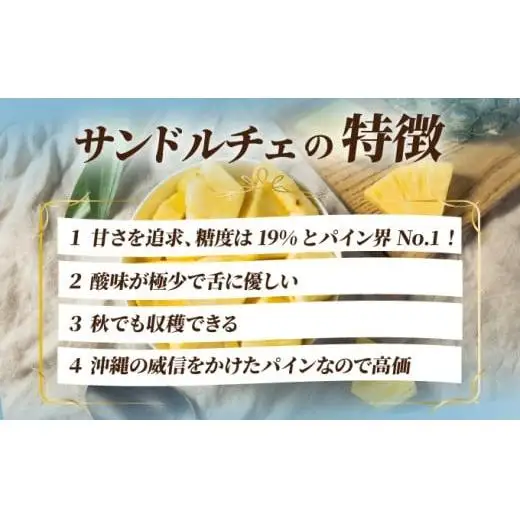 【先行予約】サンドルチェ大玉2～3個 計2.4kg 
