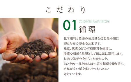 【定期便3回】黒米 400g 米 こめ ごはん 健康 古代米 岐阜県産 本巣市 お米 美容 健康 おにぎり 弁当 おいしい 旨味 ぷちぷち 和食 アグリフレンドホリグチ 3か月