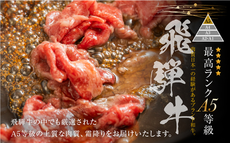 トキノ屋食品 A5等級 飛騨牛切り落とし 400g 3回お届け定期便[mt403]