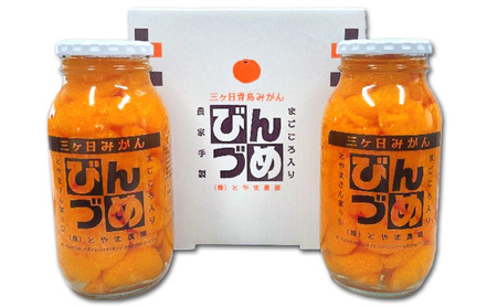三ヶ日みかん みかんのびん詰詰め合わせ2本セット（900g×2本セット）静岡 浜松市