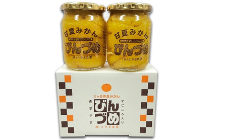 甘夏みかんびん詰め 小瓶2本セット（500g×2本セット）静岡 浜松市 