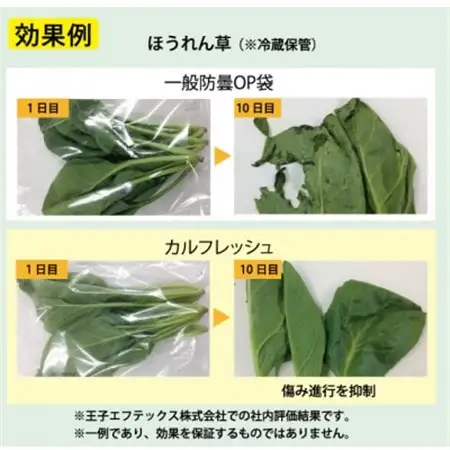 【クリーンルーム内製造】カルフレッシュ抗菌鮮度保持袋　サイズアソート100枚×3セット【1506339】
