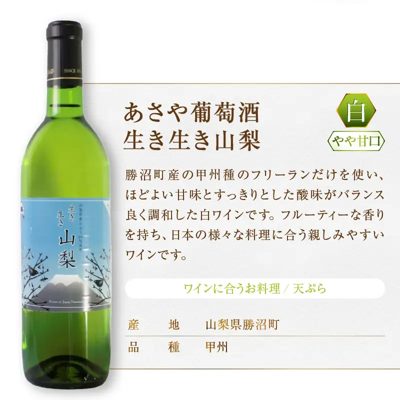 ワイン 生き生き山梨[GIYamanashi]3本セット（MG）B17-651