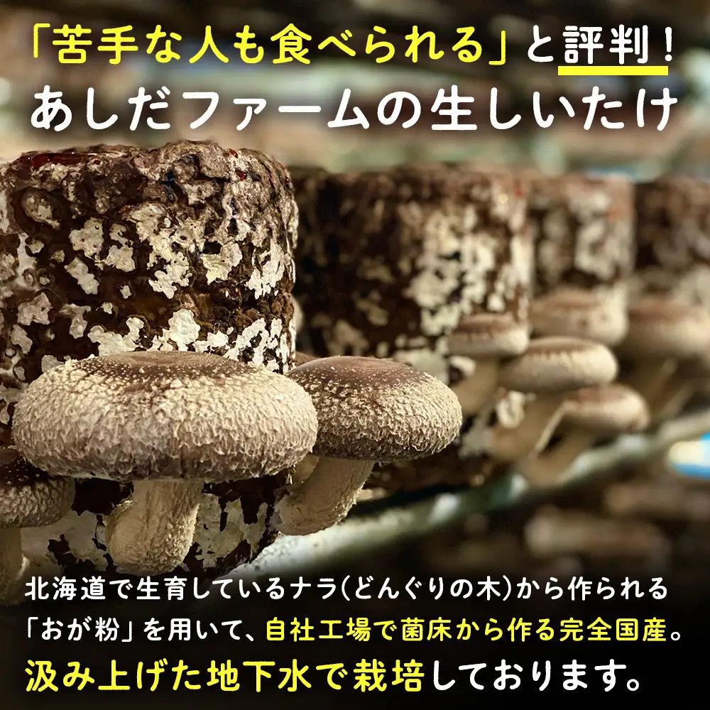 菌床 生しいたけ 900g 大きい 肉厚 シイタケ 椎茸 生椎茸 生シイタケ 千歳 北海道 《 あしだファーム 》