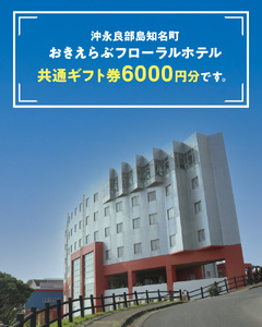 共通 ギフト券 6000円 ＠ おきえらぶ フローラルホテル C003-028 旅行 観光 宿泊 チケット