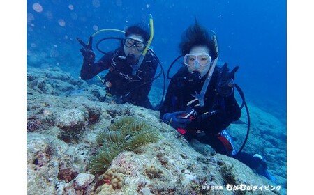 体験 ダイビング C015-001 スポーツ 海 マリンスポーツ 自然
