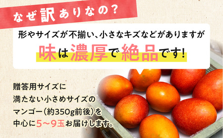 【 2026年 先行予約 】 伊井マンゴー園 の 訳あり 完熟 マンゴー （ ご家庭用 ） 約2キロ （ 5～9玉 ） C026-004 果物 フルーツ