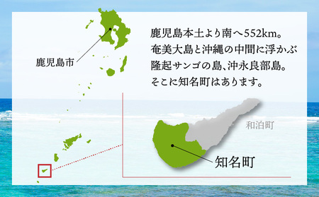 【 2026年 先行予約 】【 訳あり 】 おいしさそのまま！ ふじ農園 の 完熟 マンゴー 2kg C031-003 果物 フルーツ