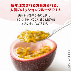 【 2026年 先行予約 】 竹マンゴーファーム パッションフルーツ （ 12個入り ） C039-001 果物 フルーツ