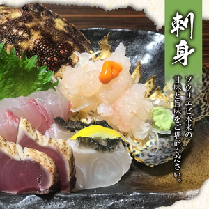 沖永良部 島産！ ゾウリエビ 約1kg （ 4～7尾 ） C041-001 魚介類 冷凍 海老 エビ