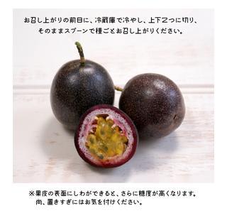 【 2026年 先行予約 】 えみちゃん農園 大玉 パッションフルーツ （ 12個 入り ） C008-004 果物 フルーツ