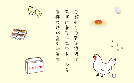 3ヶ月定期便 たまごやとよまる 煌黄20個 SMAS004 千葉県 山武市 卵 たまご タマゴ