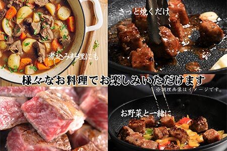 【数量限定】伊万里牛 サイコロステーキ 500g(100ｇ×5Ｐ)（ソース付き）　172-J964