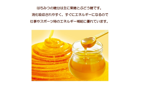 はちみつ100％のキャンデー [ 飴 キャンンデー 蜂蜜 のど飴 キャンディー 業務用 大容量 大量 ] 
