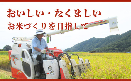 米 令和7年産 定期便 6ヵ月 コシヒカリ 関口さんちのお米 5kg お米 白米 ブランド米 定期 6回