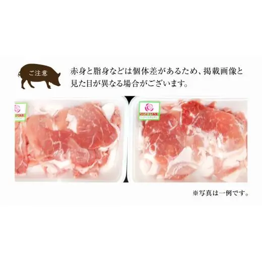 ローズポーク 小間肉 250g × 6P 合計 1.5kg ( 茨城県共通返礼品 )