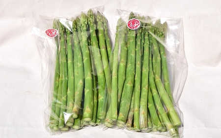 【数量・期間限定】やたらうんめぇ アスパラガス 1kg M～2Lサイズ混合 水田環境鑑定士在籍[Y0014]